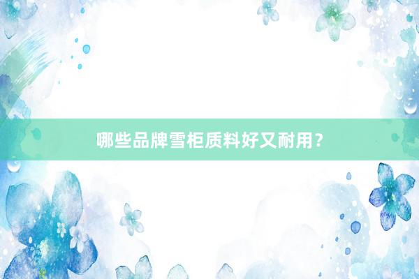 哪些品牌雪柜质料好又耐用？